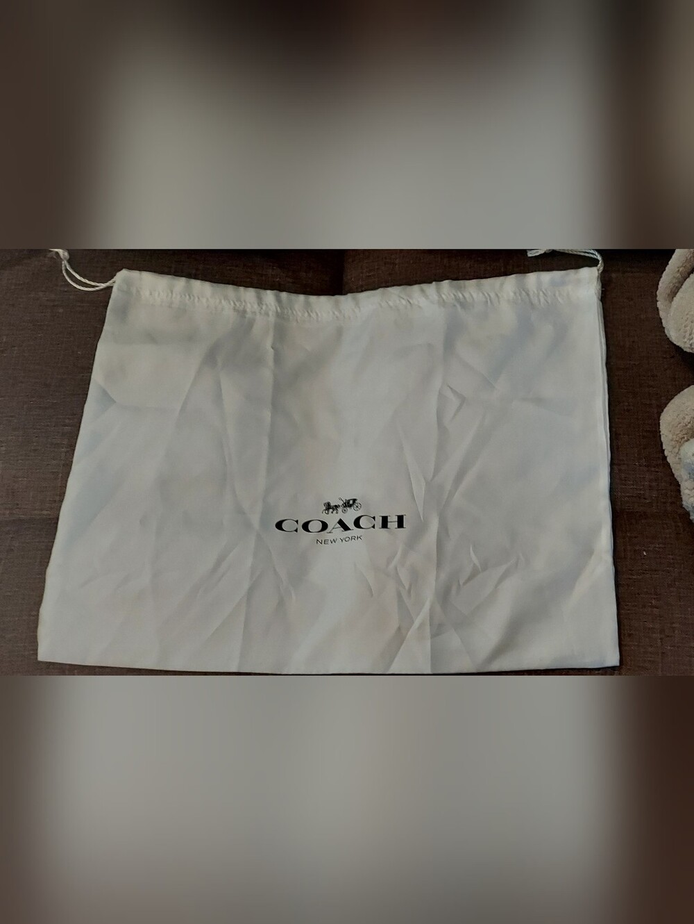 Coach Dust Bag
